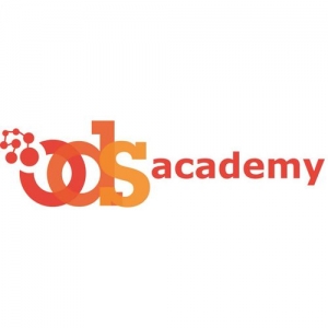 ods_academy_budapest_summercourse_500